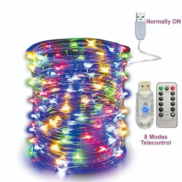 2/5/10/20/30M USB Fairy String Lights LED Sliver Wire Lights With 8 Lighting Modes Remote Control For Bedroom Christmas Decor Econic Blanks