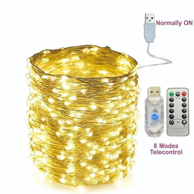 2/5/10/20/30M USB Fairy String Lights LED Sliver Wire Lights With 8 Lighting Modes Remote Control For Bedroom Christmas Decor Econic Blanks