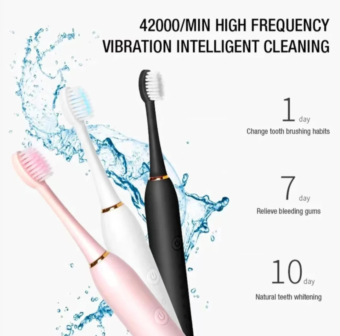 Sonic Electric Toothbrush for Adults IPX7 Waterproof DuPont Brush Head USB Rechargeable High Frequency Cleaning 6 Cleaning Modes Econic Blanks