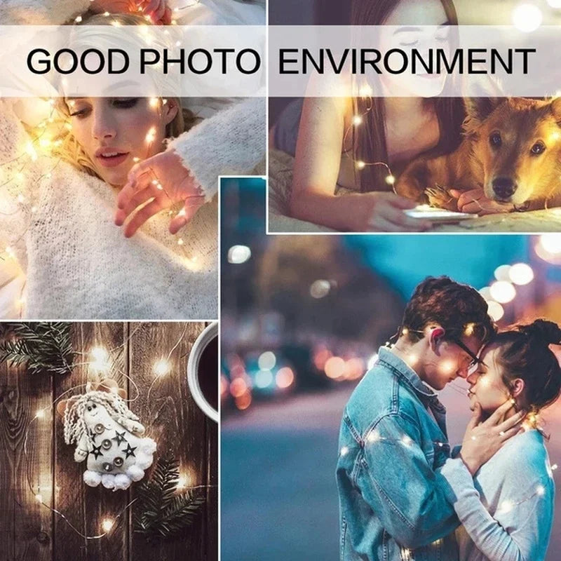 2/5/10/20/30M USB Fairy String Lights LED Sliver Wire Lights With 8 Lighting Modes Remote Control For Bedroom Christmas Decor Econic Blanks