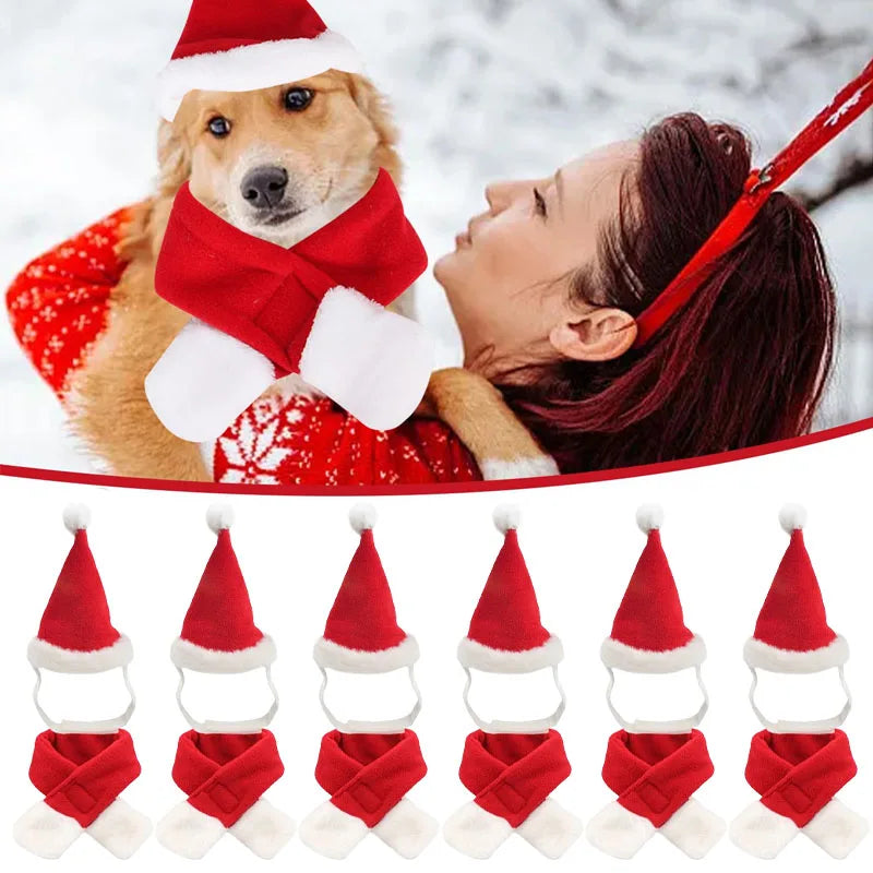 Christmas Pet Costume Hat with Scarf – Holiday Outfit for Cats & Small Dogs Econic Blanks