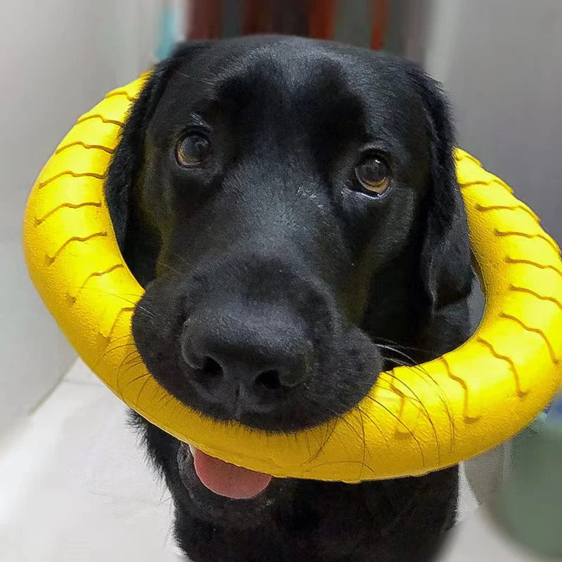 Dog Ring Toys Indestructible Chewing Flying Floating Training Tools Fetch for Small Medium Large Dogs Throwing Catching Flying Econic Blanks