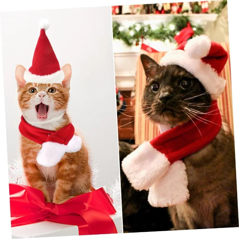 Christmas Pet Costume Hat with Scarf – Holiday Outfit for Cats & Small Dogs Econic Blanks